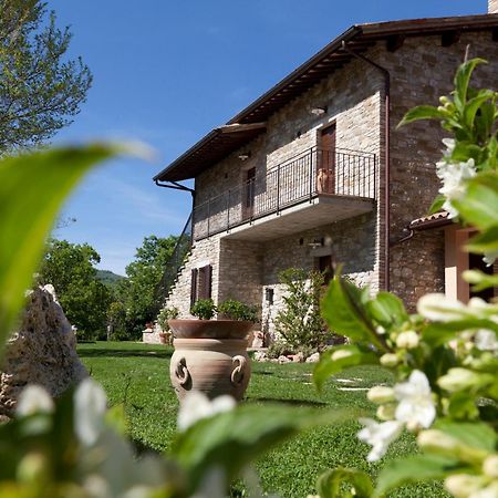 Villa Relais Parco Del Subasio Piano Delle Pieve Exterior foto